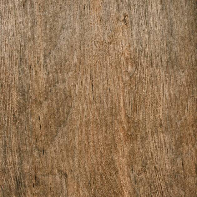 🌲 Le hêtre – un feu vif et chaleureux