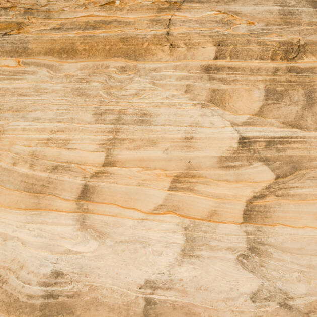 🌲 Les résineux – pour l’allumage et la rapidité