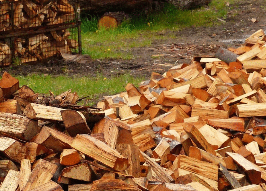 Bois pas cher comment allier économie et qualité