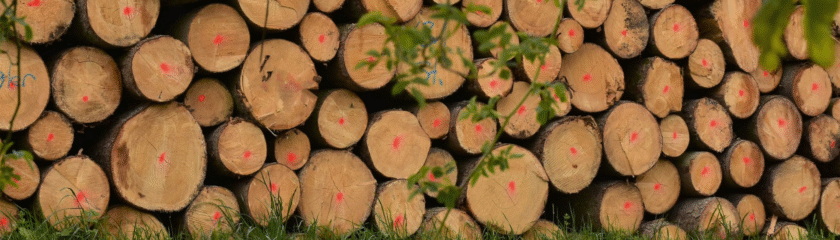 Label Bois Local France gage d’authenticité et de confiance (1)