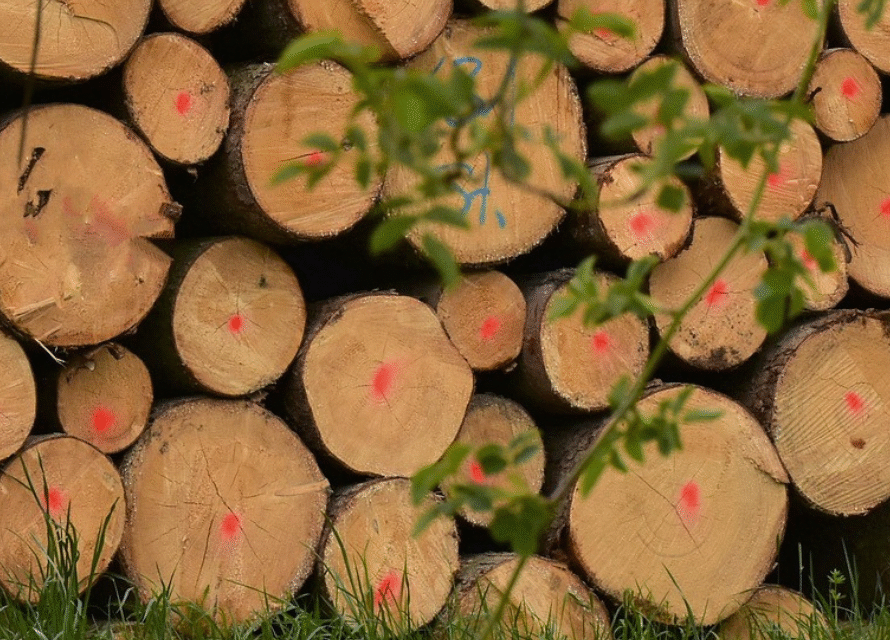 Label Bois Local France gage d’authenticité et de confiance (1)