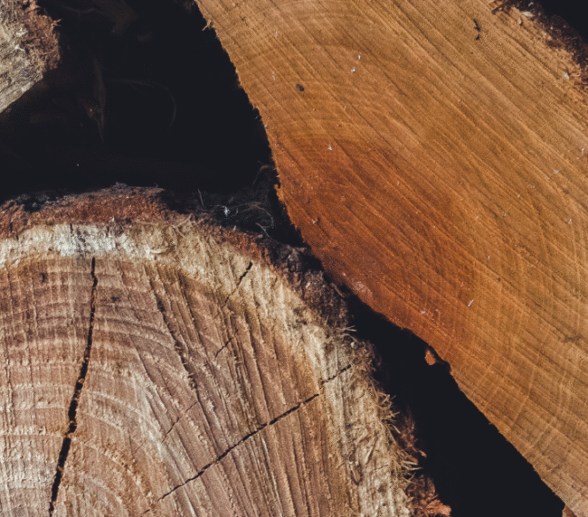 Label Bois Local France gage d’authenticité et de confiance