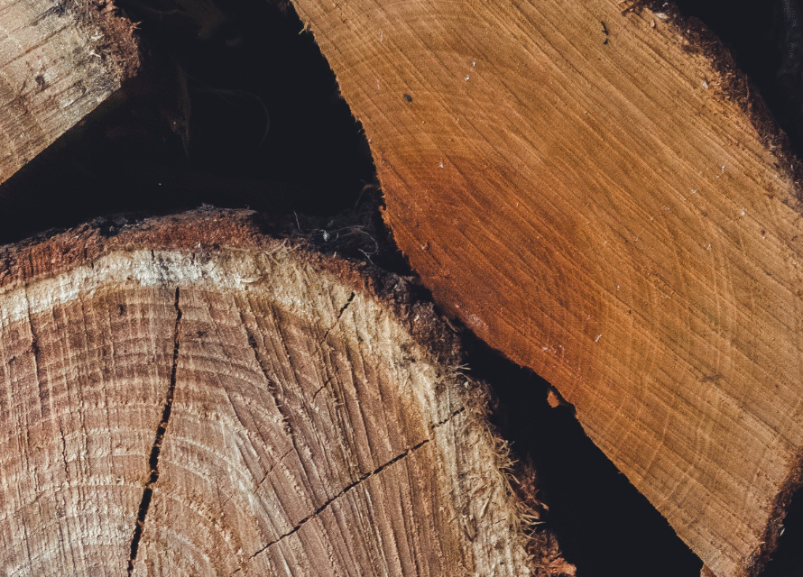 Label Bois Local France gage d’authenticité et de confiance