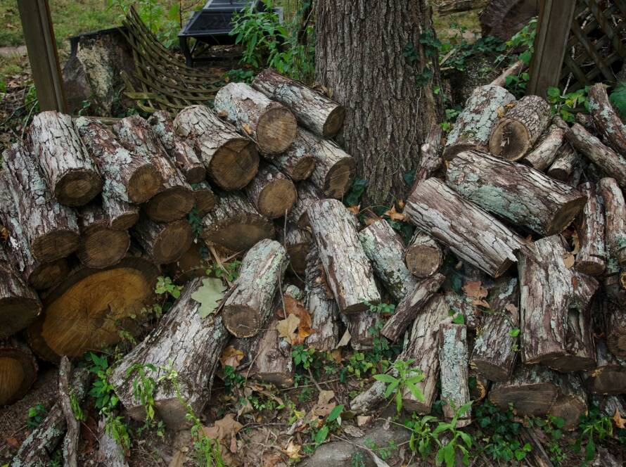 Camion de livraison de bois de chauffage Bouches-du-Rhône avec des bûches prêtes à l’emploi à Marseille et Aix-en-Provence.