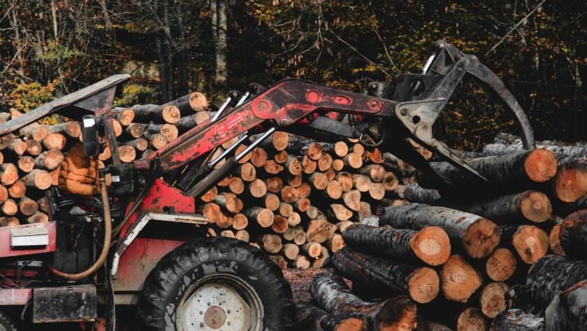 fournisseur de bois de chauffage