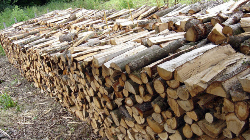bois de chauffage le Maine-et-Loire