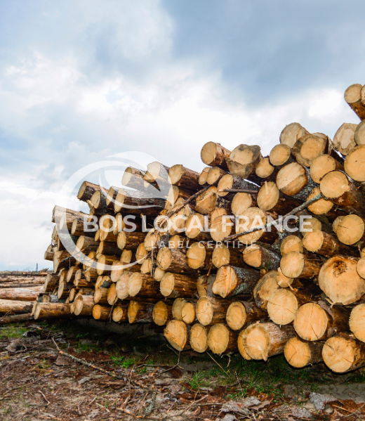 VOTRE BOIS DE CHAUFFAGE BOIS LOCAL FRANCE